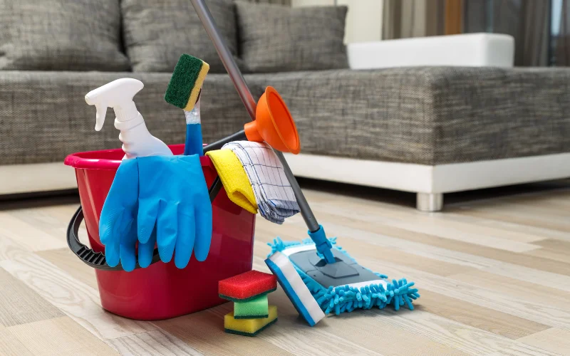 elements of cleaning