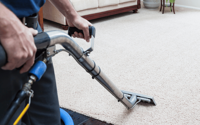 removing stains on the carpet with steam cleaning machine