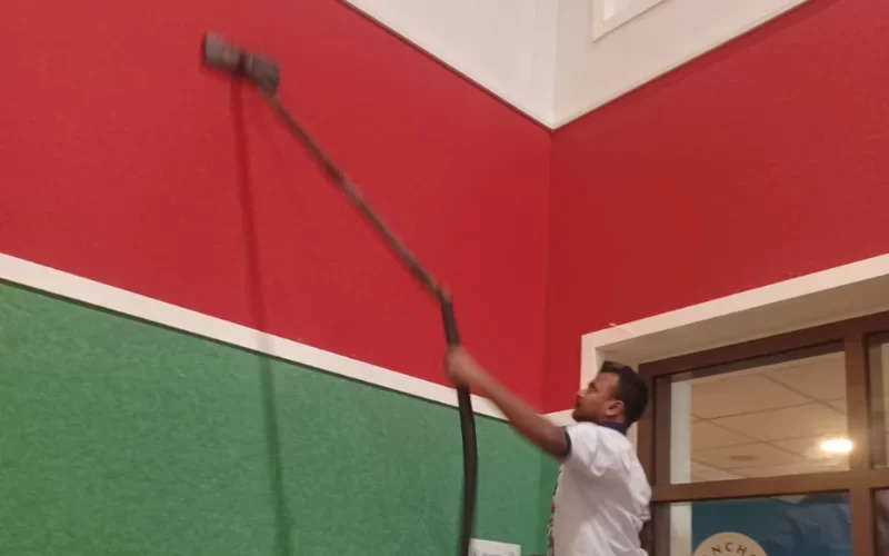 cleaner cleaning the wall with the vaccum brush